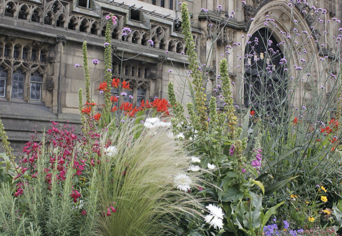 The beautiful garden at Manchester Cathedral
